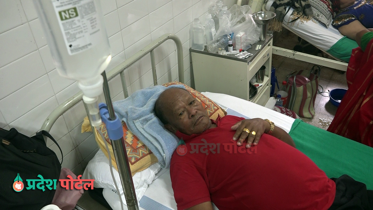 dengue-dharan-pradeshportal.com