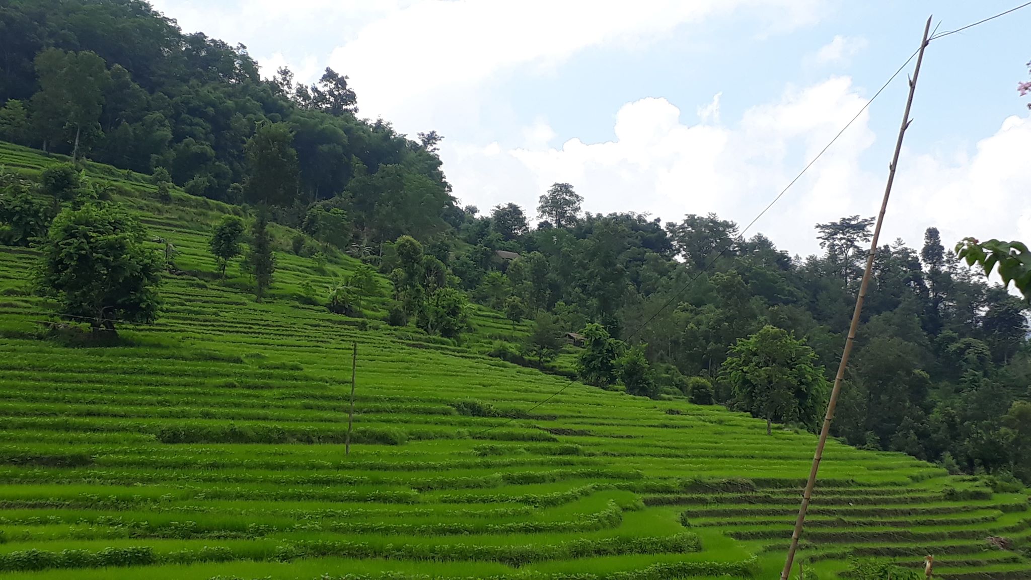 dhanbari dhankuta mahalxmi leguwa  (1)