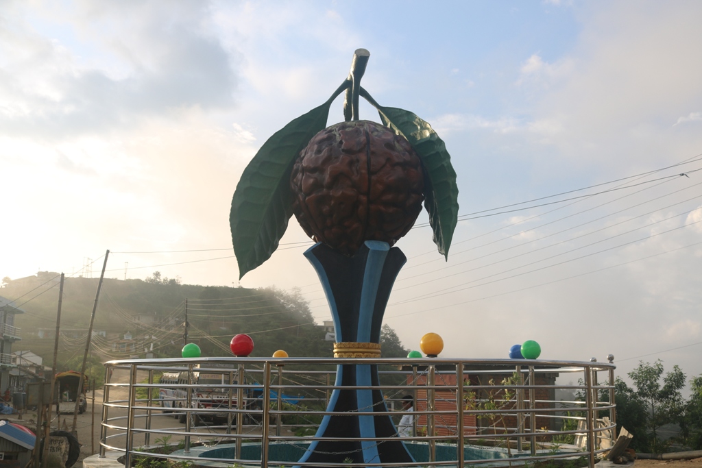 rudraksha salik mahalxmi DKT