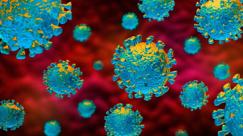 dt_200221_covid_19_coronavirus_800x450 1