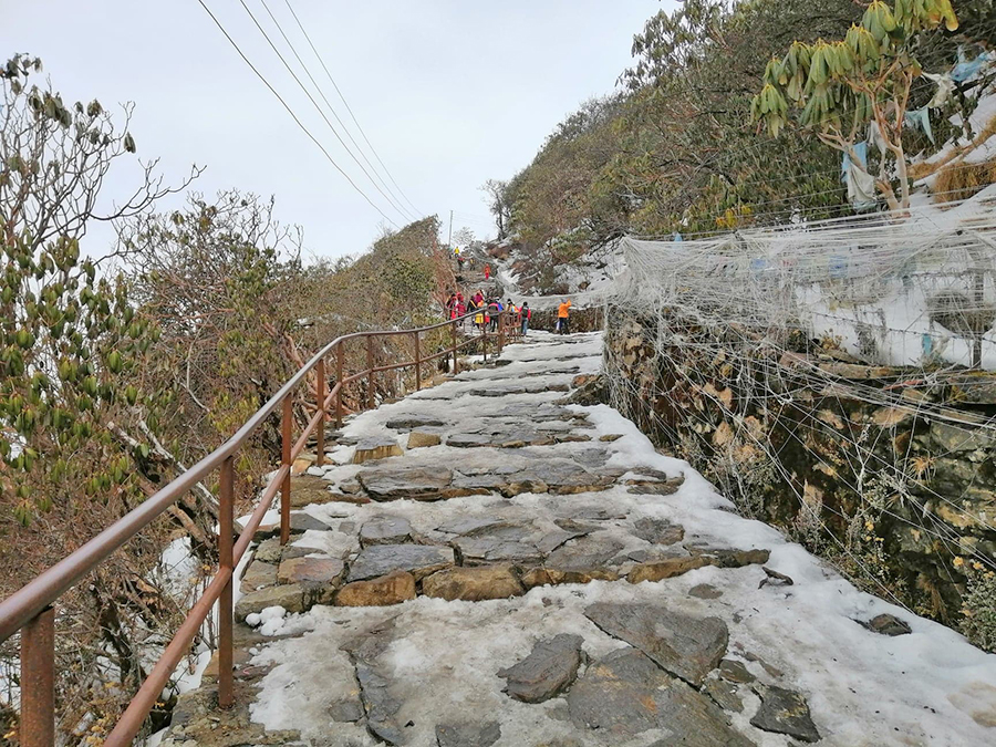 pathibhara2