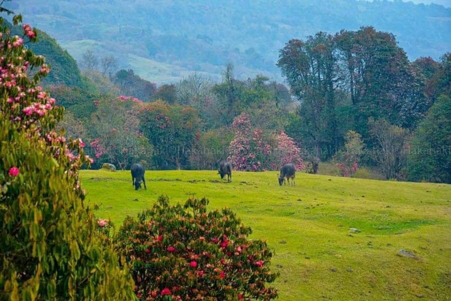 dhankuta7