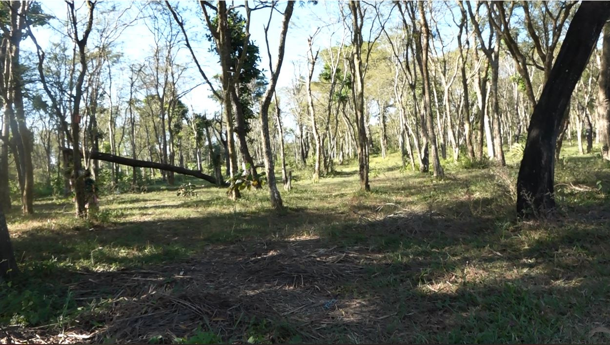 picnice-spot-in-talatalaiya