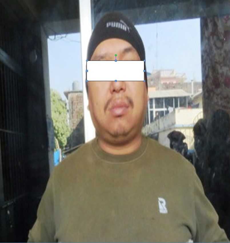 alt