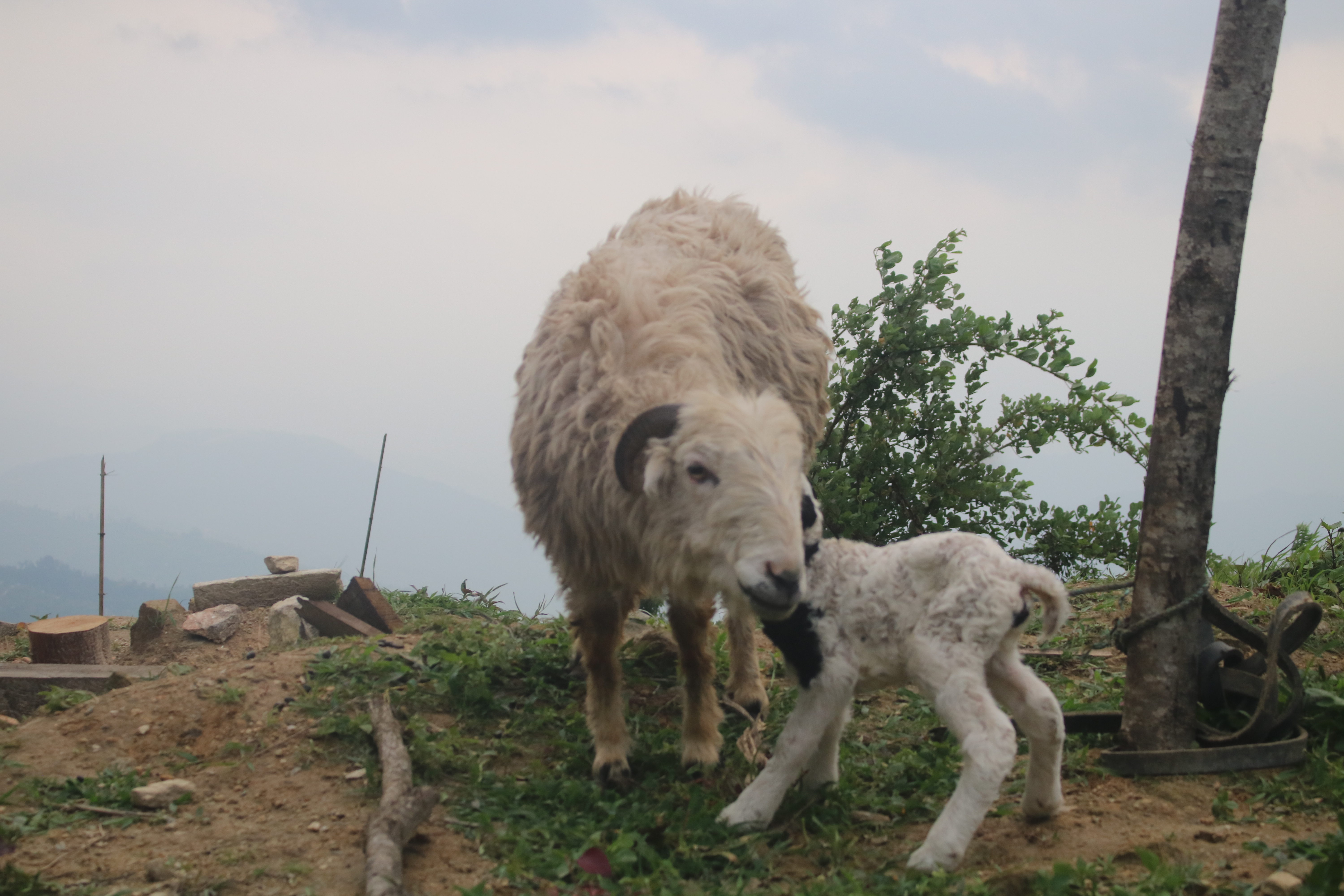 img-1728 1