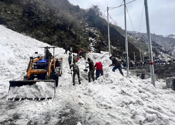 सिक्किम हिमपहिरोमा सहकारीको भ्रमणमा गएका ३ नेपालीसहित ७ जनाको मृत्यु
