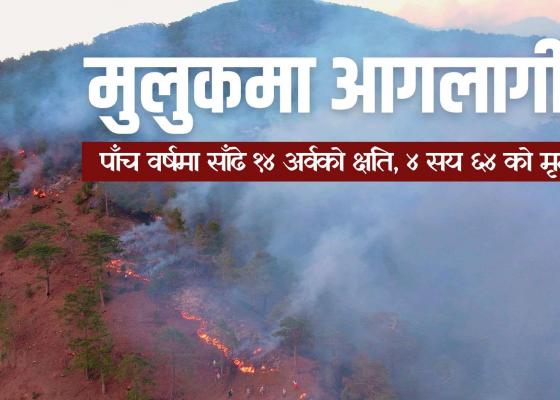 मुलुकमा आगलागीः पाँच वर्षमा साँढे १४ अर्वको क्षति, ४ सय ६४ को मृत्यू 
