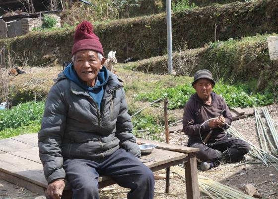 बुढ्यौली कायाले जोगाइरहेको पम्परागत पेशा 