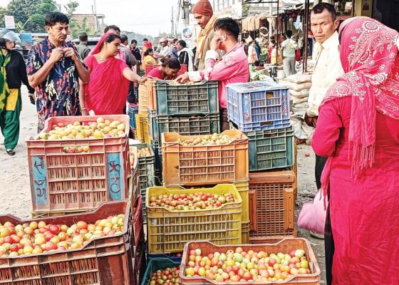 नेपाली धपाउँदै हरेक क्षेत्रमा भारतीयको राज, आफ्ना जनतालाई देशमै रोक्न सरकारलाई छैन सरोकार !