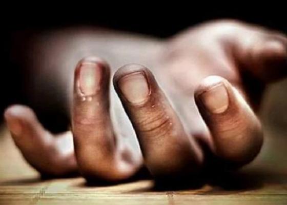 झापामा तीन जना मृत फेला
