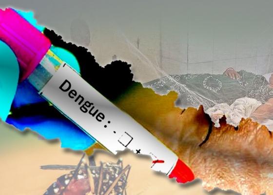 जलवायु परिवर्तनको असरः  बाह्रै महिना डेंगुको सङ्क्रमण देखिँदै