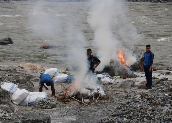 धनकुटामा ९९९ केजी गाँजा र लागु औषध नष्ट