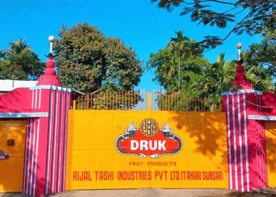 इटहरीको रिजाल टासी कम्पनीको हदबन्दीको ५९ बिघा जग्गा मन्त्रिपरिषद्कै निर्णयका आधारमा बिक्री गरिएको खुलासा