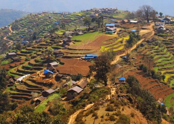 डेढ दशकभन्दा अगाडिदेखिका आयोजना अधुरैः गाउँभर खानेपानी समस्या