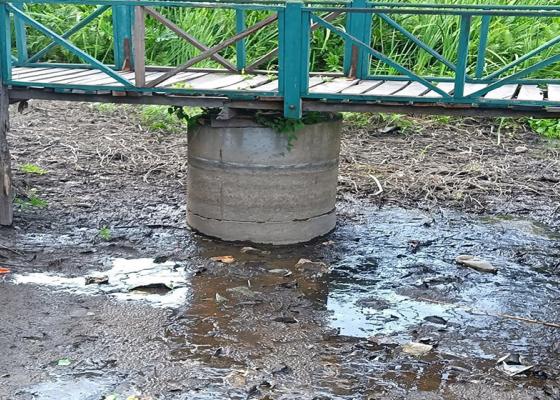 खडेरीले सुक्न थाल्यो बेतना सिमसार