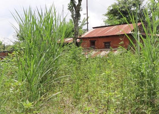 जमिन बाँझो नराख्न धादिङको ज्वालामुखी गाउँपालिकाको आग्रह जमिन बाँझो नराख्न धादिङको ज्वालामुखी गाउँपालिकाको आग्रह