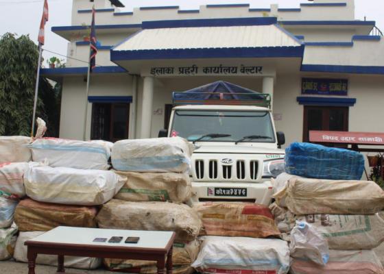 बोलेरो गाडीमा ७६३ केजी गाँजा सहित दुई जना पक्राउ