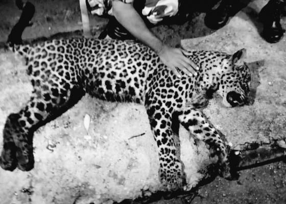 मन भारी बनाउने एउटा घटना: हराउँदै गएको मानवताको कथा