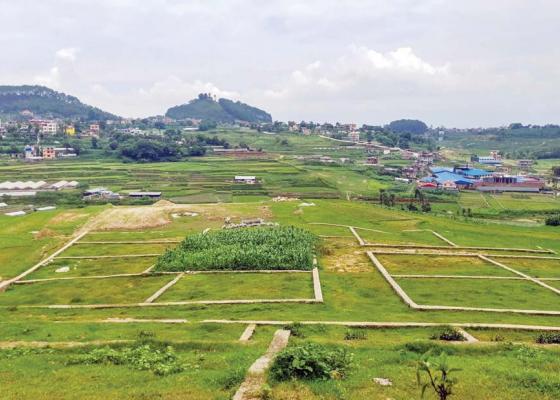 घरजग्गा कारोबार तीन वर्षयताकै उच्च विन्दुमा