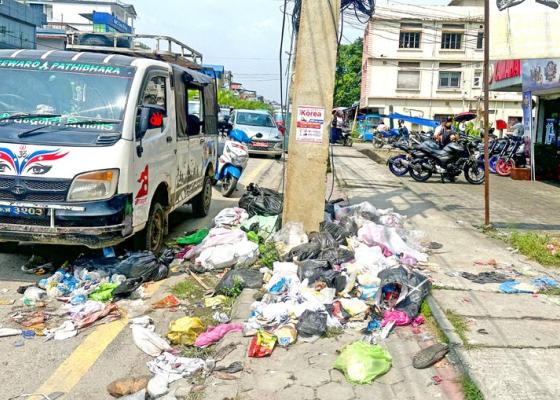ल्यान्डफिल्ड साइटविहीन बिर्तामोडः एक महिनादेखि फोहोर नउठ्दा बजारमै डंगुर ल्यान्डफिल्ड साइटविहीन बिर्तामोडः एक महिनादेखि फोहोर नउठ्दा बजारमै डंगुर