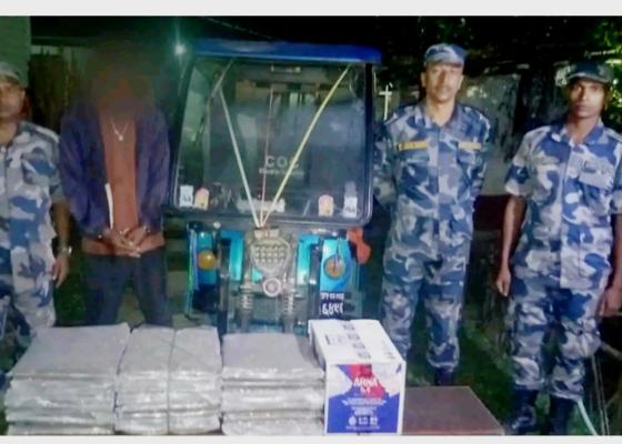 २८ किलो गाँजा र बियरसहित सफारी चालक पक्राउ