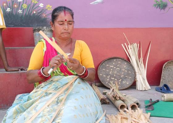 छठ पर्वमा मल्लिक समुदायको बाँसको ढाकी बनाउने पेसा संकटमा, बजार र सरकारी सहयोगको अभाव