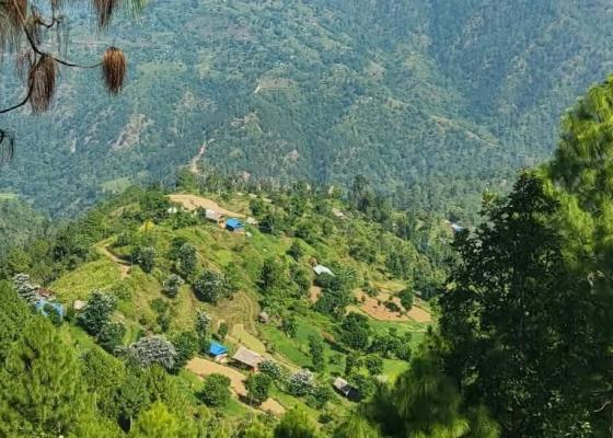 एआईको युगमा पनि कुपी र दियालोको भरमा केराबारी, नेताहरू फेरिए तर गाउँको अन्धकार हटेन एआईको युगमा पनि कुपी र दियालोको भरमा केराबारी, नेताहरू फेरिए तर गाउँको अन्धकार हटेन