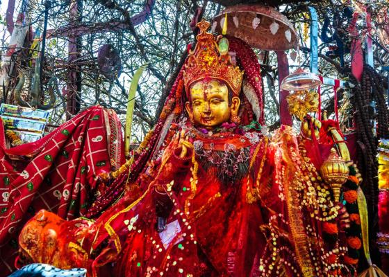 पाथीभराबाट तीन महिनामा ३३ लाख रुपैयाँ बढी सङ्कलन पाथीभराबाट तीन महिनामा ३३ लाख रुपैयाँ बढी सङ्कलन